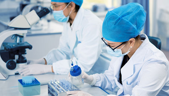 德赢·(VWIN)官方网站-AC米兰官方相助同伴