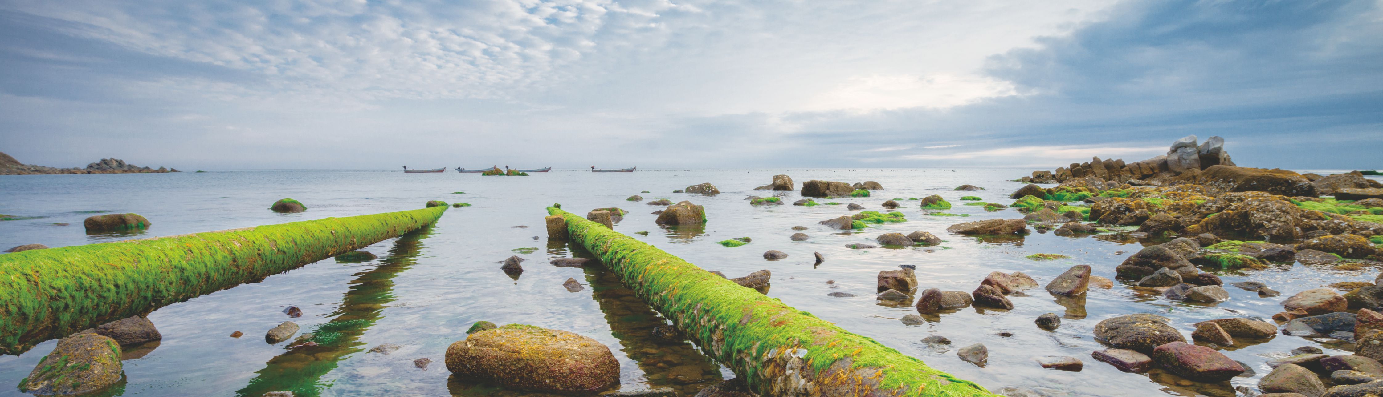 ��Ӯ��(VWIN)�ٷ���վ-AC�����ٷ��������